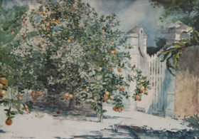 Visit detail page for artwork titled Orange Tree, Nassau