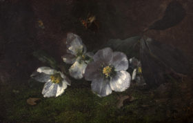 Visit detail page for artwork titled White Blossoms and Butterflies