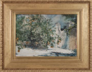 Change slideshow image to Orange Tree, Nassau with Frame Thumbnail