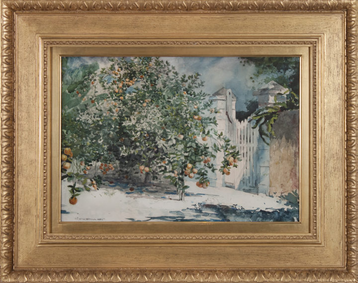 View larger image of artwork titled Orange Tree, Nassau with Frame