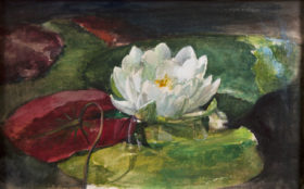 Visit detail page for artwork titled Water Lily with Green and Red Pads