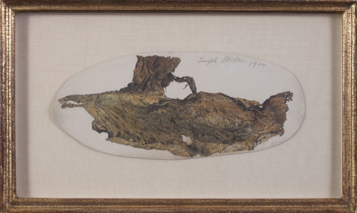 View larger image of artwork titled Bark with Frame