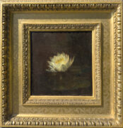 Change slideshow image to Water Lily Thumbnail