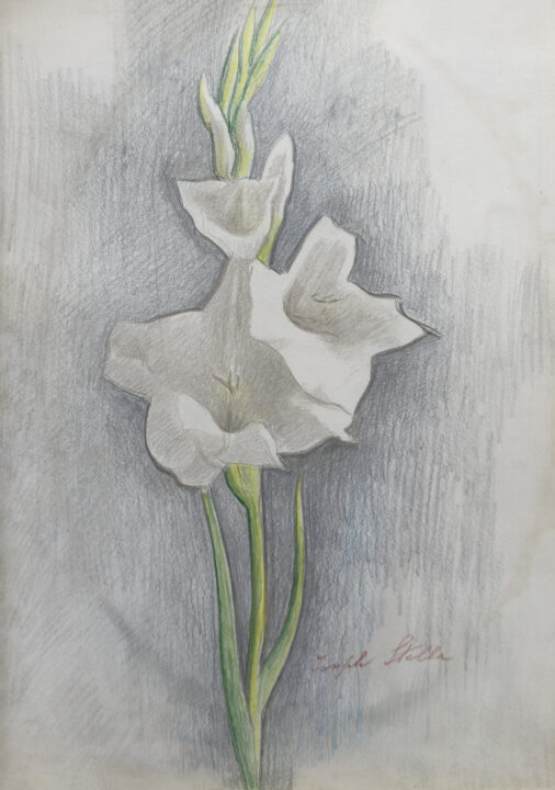 Visit detail page for art titled White Gladiolus