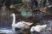 Change slideshow image to Swans Thumbnail
